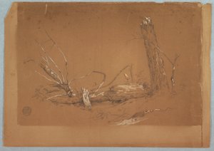 Piirros, Murtunut kuollut puu, 1855-65 tekijältä Frederic Edwin Church