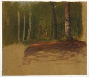 Piirros, Tie metsään, 1850-60. tekijältä Frederic Edwin Church
