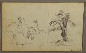 Piirros, Bireds, "Kallio Panamanlahdella"; Kääntöpuoli: "Raskas köynnös", 15. toukokuuta 1857. tekijältä Frederic Edwin Church
