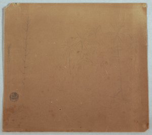 Piirustus, kasvitieteellisiä luonnoksia, mahdollisesti bambuja, palmuja ja pensaita, Ecuador tai Kolumbia, 1853 tai 1857. tekijältä Frederic Edwin Church