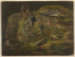 Piirros, Kivenlohkare metsässä, n. 1845. tekijältä Frederic Edwin Church