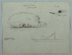 Piirros, Ceiba-puu Momposissa, Champan-kanootti, puita ja osittainen vene, Rio Magdelena, Kolumbia, 1853, luultavasti toukokuu. tekijältä Frederic Edwin Church