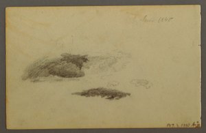 Piirros, lahonnut koivu, 1844 tekijältä Frederic Edwin Church
