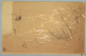 Piirustus, yksityiskohtainen näkymä Kanadan pankin reunasta, elokuu 1858. tekijältä Frederic Edwin Church