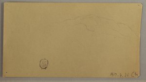 Piirros, Kukkivat kasvit, n. 1856 tekijältä Frederic Edwin Church