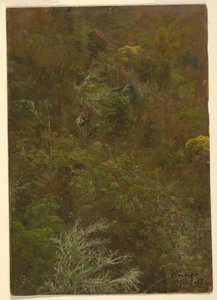 Piirros, Kukkulanrinne Pensas amp; puiden peittämä, heinäkuu 1865 tekijältä Frederic Edwin Church
