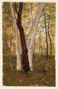 Piirros, Metsässä, Hudson, New York, lokakuu 1865. tekijältä Frederic Edwin Church