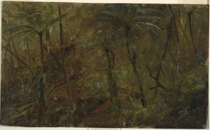 Piirros, Jamacian metsässä, Länsi-Intia, 1865. tekijältä Frederic Edwin Church