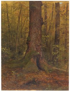 Piirros, Metsässä, luultavasti Maine, 1850-60. tekijältä Frederic Edwin Church