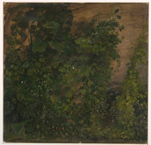 Piirros, Viidakon kasvillisuus, 1865 tekijältä Frederic Edwin Church