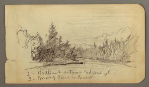 Piirros, puiden ympäröimä järvi, mahdollisesti 1878 tekijältä Frederic Edwin Church