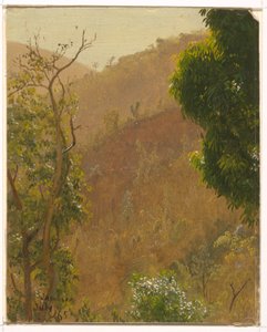 Piirros, maisema, heinäkuu 1865 tekijältä Frederic Edwin Church