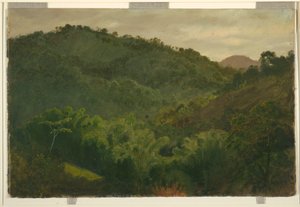 Piirros, Maisema Jamaikalta, Länsi-Intia, 1865 tekijältä Frederic Edwin Church