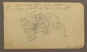 Piirros, maisema, taloja; Kääntöpuoli: puun latva, helmikuu 1885. tekijältä Frederic Edwin Church