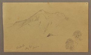 Piirros, maisema, kasveja, Bloxburgh, elokuu 1865. tekijältä Frederic Edwin Church