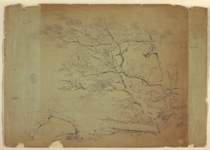 Piirros, Maisema, jossa on puita ja puro [], Grand Mananin saari, Kanada, syyskuu 1851. tekijältä Frederic Edwin Church