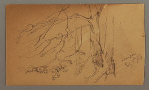 Piirros, puun alaosa, 9. heinäkuuta 1868. tekijältä Frederic Edwin Church