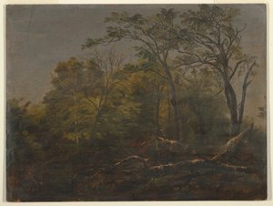 Piirros, Mainen metsät, 1845-55 tekijältä Frederic Edwin Church