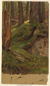 Piirros, Maine  metsä, 1855-65 tekijältä Frederic Edwin Church