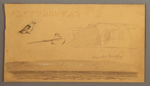 Piirros, Mies veneessä, lintu, kalliot, rannikko, 6. heinäkuuta 1859. tekijältä Frederic Edwin Church