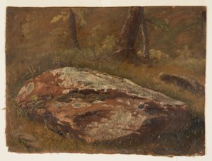 Piirros, Mossy Rock, elokuu 1845 tekijältä Frederic Edwin Church