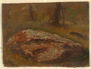 Piirros, Mossy Rock, elokuu 1845 tekijältä Frederic Edwin Church