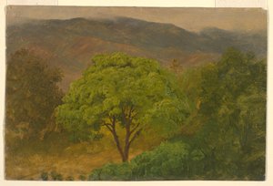 Piirros, vuoristomaisema, elokuu 1865 tekijältä Frederic Edwin Church