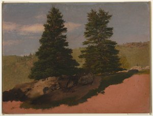 Piirros, Uuden Englannin maisema (Kaksi mäntyä), 1850 tekijältä Frederic Edwin Church