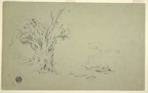 Piirros, Oliivipuu, Öljymäki, huhtikuu 1868 tekijältä Frederic Edwin Church