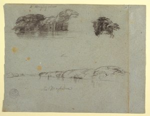 Piirros, Luonnoksia puista, viiniköynnöksistä ja Rio Magdalenan rannasta, Kolumbia, 1853, luultavasti toukokuu. tekijältä Frederic Edwin Church