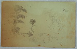 Piirros, puiden tutkimuksia, joissa on yksityiskohtia bambusta ja pieni yksityiskohta miehestä, joka kantaa banaania päässään, Bellevue, Jamaika, elokuu 1865. tekijältä Frederic Edwin Church