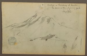 Piirros, Auringonnousu Chimborazo-vuorella ja kolme yksityiskohtaa ruohosta, syyskuu 1853. tekijältä Frederic Edwin Church