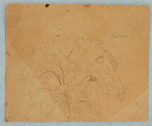 Piirros, puu; Kääntöpuoli: Näkymä kirkkoon, kaksi englantilaista naista vuodelta 1636, hevostutkimus, lokakuu 1845. tekijältä Frederic Edwin Church