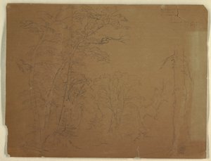 Piirros, Puut, Grand Mananin saari, Kanada, 1851 tekijältä Frederic Edwin Church
