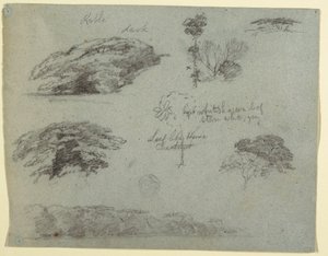 Piirros, Puut, puiden latvukset ja metsäinen ranta, Saddleback, Maine, 1853 tekijältä Frederic Edwin Church