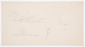 Piirros, Puut, ranta, jossa on pensaita ja puita, syyskuu 1876. tekijältä Frederic Edwin Church