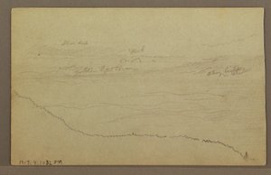 Piirros, Puut, mahdollisesti 1860-luku tekijältä Frederic Edwin Church