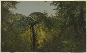 Piirros, Trooppinen maisema, kesä- tai heinäkuu 1865 tekijältä Frederic Edwin Church