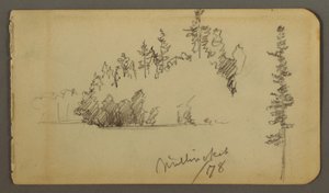 Piirros, Metsäinen ranta, puustotutkimus, 1878 tekijältä Frederic Edwin Church