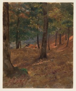 Piirros, metsäkuva, 1870-80 tekijältä Frederic Edwin Church