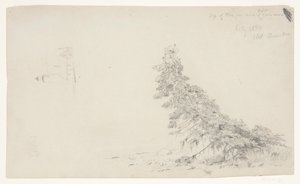 Ikivihreä puu lähellä rantaa, jossa on yksityiskohta majakasta ja talosta, Mount Desert, Maine tekijältä Frederic Edwin Church