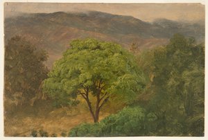Genip Tree in the Mountains, Jamaika tekijältä Frederic Edwin Church