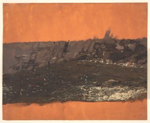 Mainen rannikko tekijältä Frederic Edwin Church