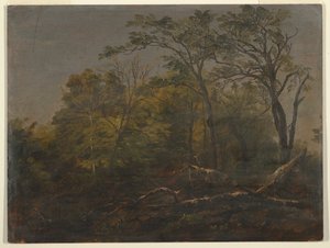 Maine Woods tekijältä Frederic Edwin Church