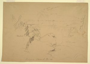 Niagaran putoukset, Näkymä Goat Islandilta tekijältä Frederic Edwin Church