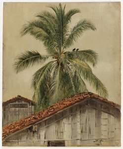 Palmuja ja talojen kattoja, Ecuador tekijältä Frederic Edwin Church