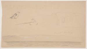Esbossos de Labrador de neu a terra, Home in Boat i Birdfinnish tekijältä Frederic Edwin Church