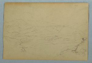 Luonnokset kasveista ja osasta terassia reunustavasta kaiteesta Inn Guarandassa, Ecuadorissa tekijältä Frederic Edwin Church