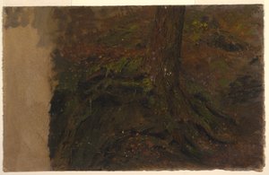 Puunrungon tutkimus tekijältä Frederic Edwin Church