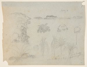 Opiskele puiden latvojen, puiden, viiden kasvimallin ja kaukaisen saaren parissa tekijältä Frederic Edwin Church